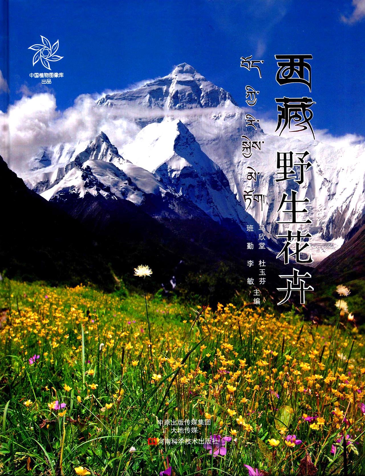 Tibetan Wild Flowers (image for) Tibetan Wild Flowers