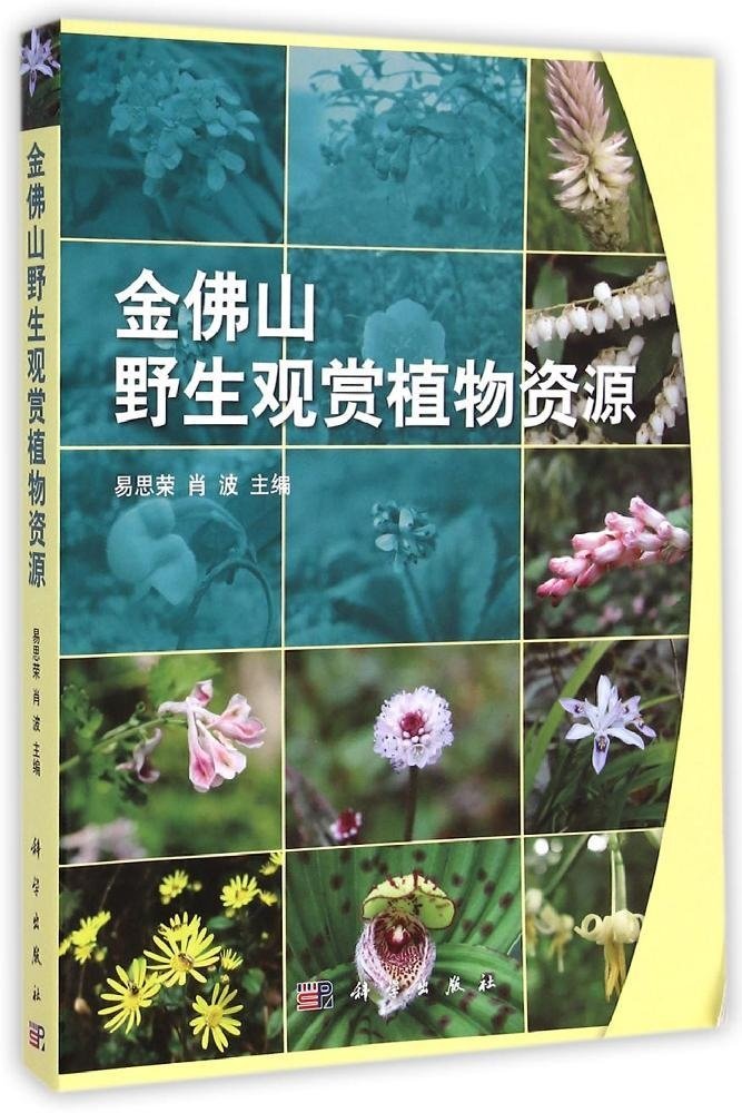 Jinfo Wild Ornamental Plant Resources (image for) Jinfo Wild Ornamental Plant Resources